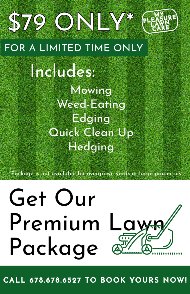 Premium-Lawn-Package-564d1c6f35efcc13766bbeee64330e28